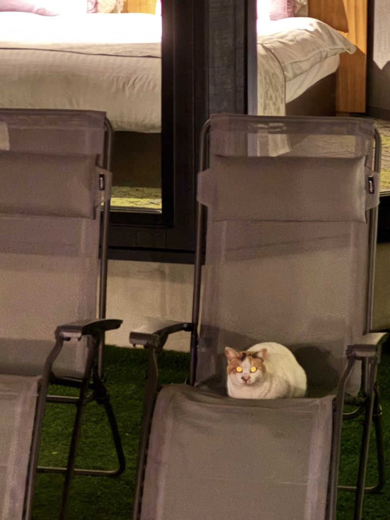 サウナベイビーTATAさんの雫花のサ活写真