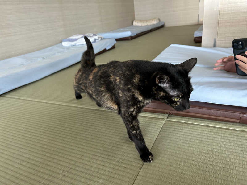 ゆうきさんのこおりやま駅前サウナ24のサ活写真