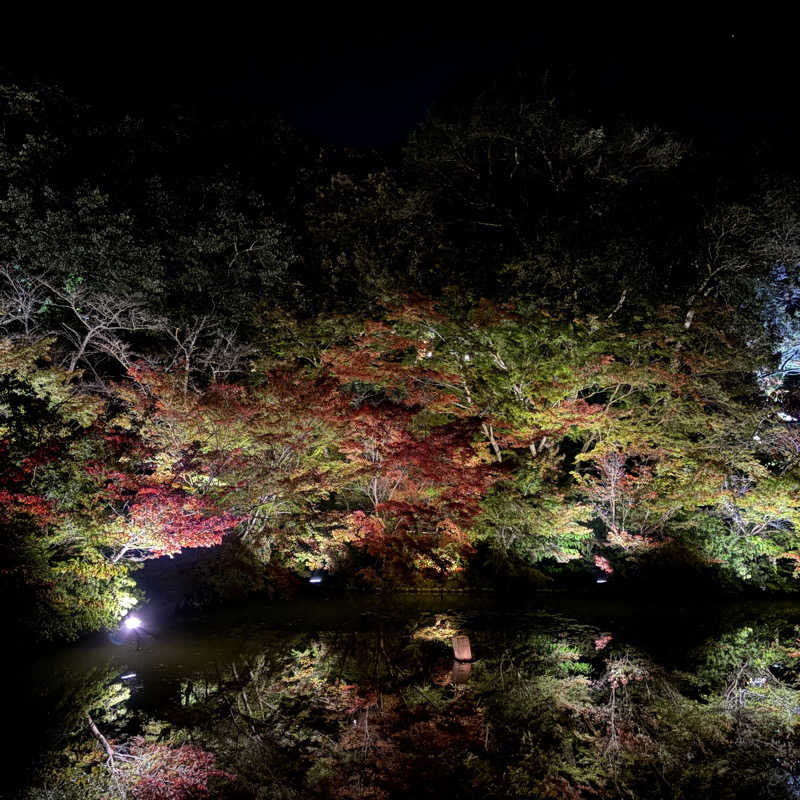 ほのかさんの御船山楽園ホテル  らかんの湯のサ活写真