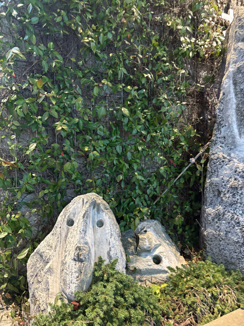ほのかさんの神戸レディススパのサ活写真