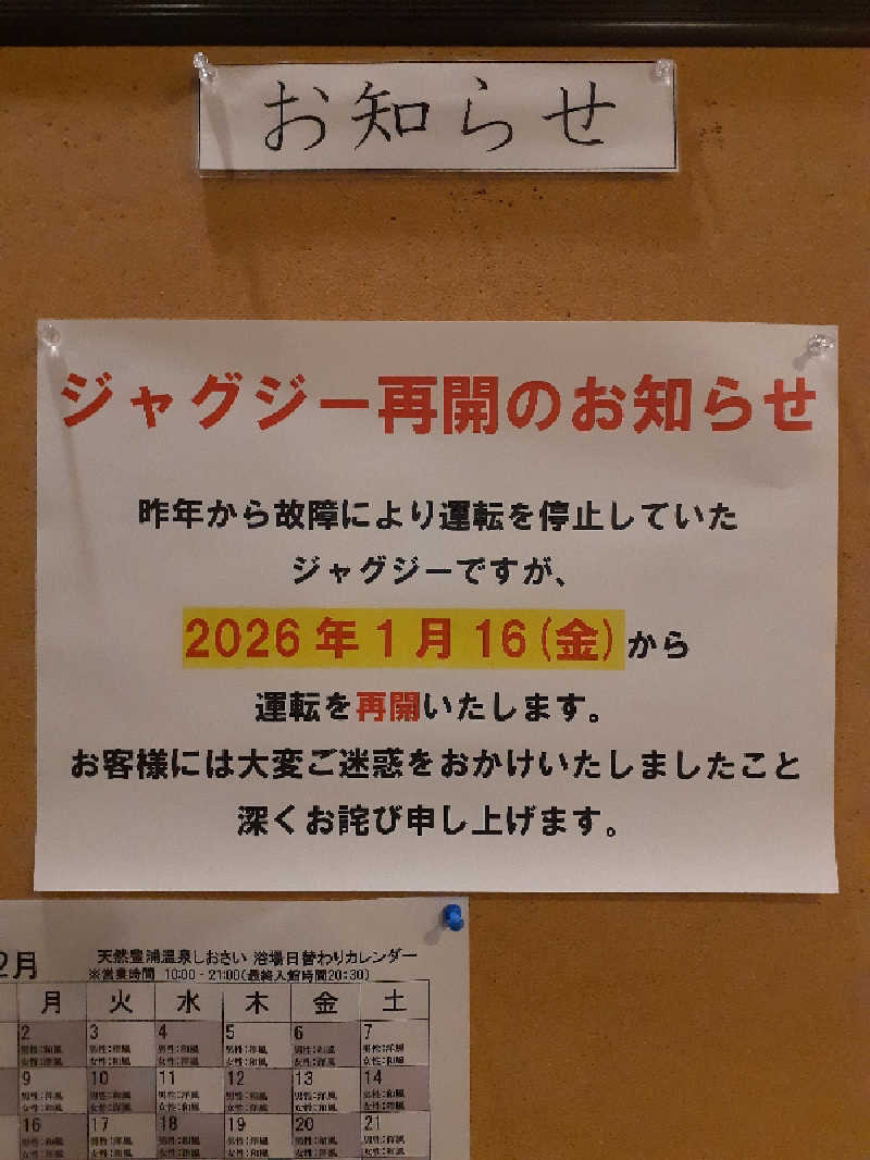 amano.tさんの天然豊浦温泉しおさいのサ活写真