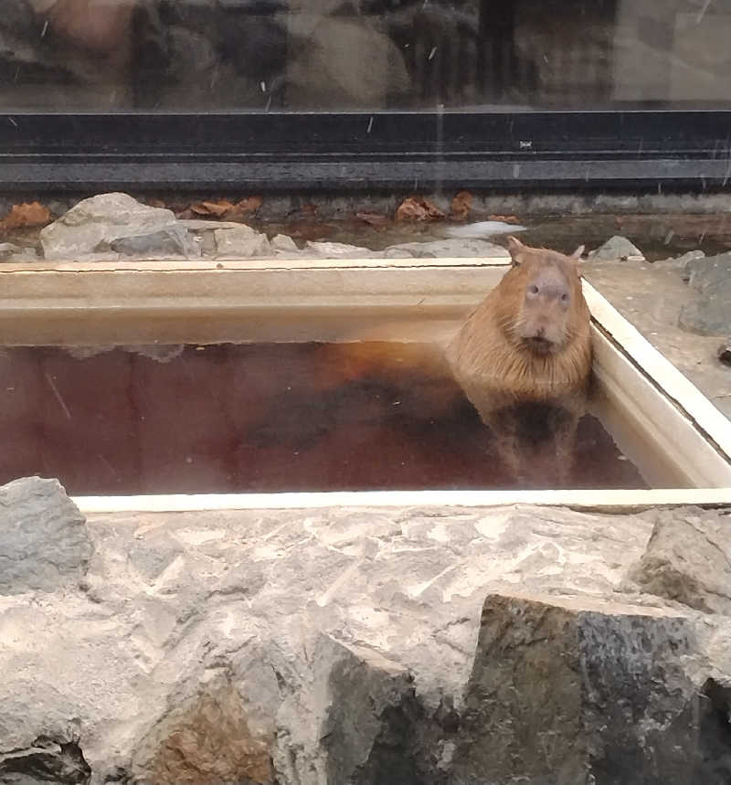 sakoさんの石狩天然温泉 番屋の湯のサ活写真