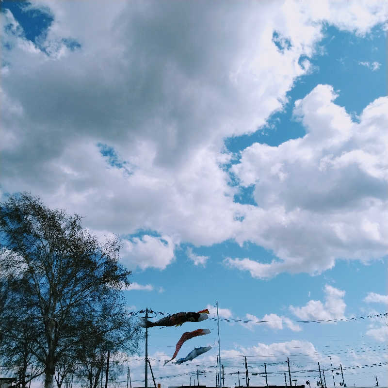 sakoさんの妹背牛温泉ペペルのサ活写真