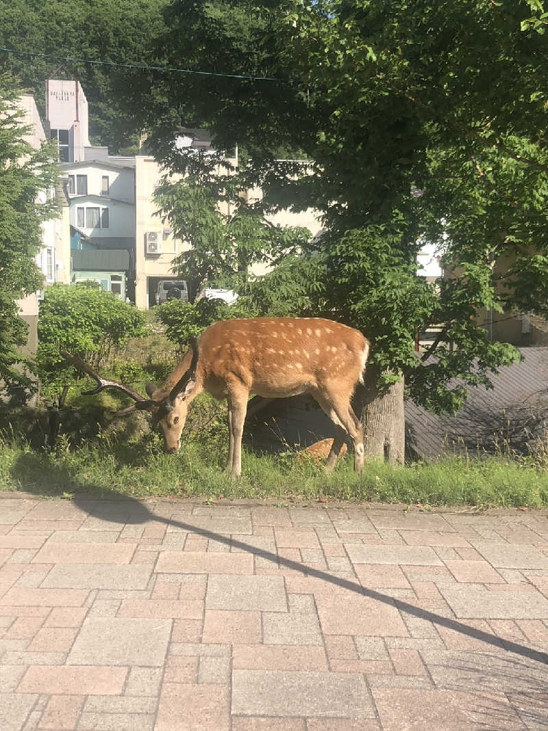 sakoさんの登別万世閣のサ活写真