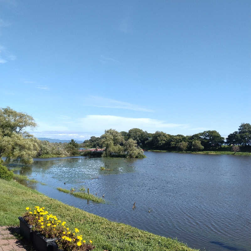 sakoさんの月形温泉ゆりかごのサ活写真