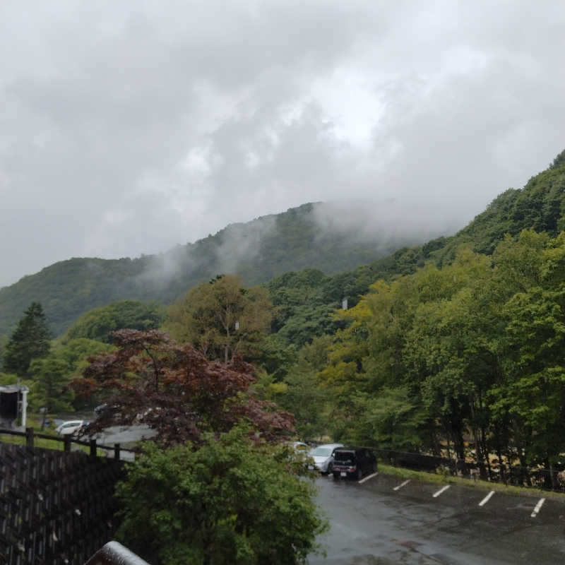サフラン  🟡さんの緑の風 リゾート きたゆざわのサ活写真
