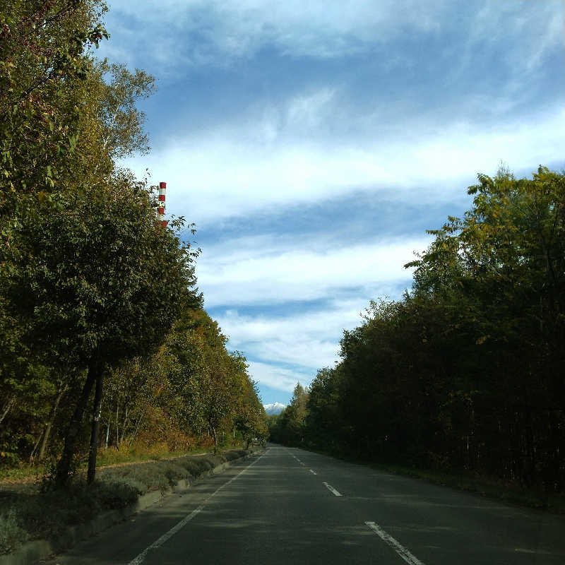 sakoさんの吹上温泉保養センター 白銀荘のサ活写真