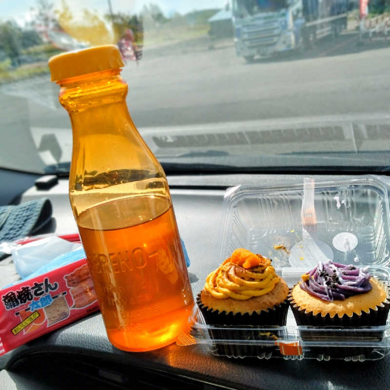 sakoさんの吹上温泉保養センター 白銀荘のサ活写真