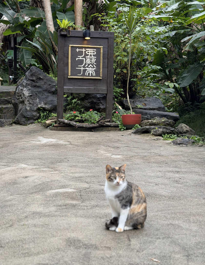 ととのいふれんちぃさんの亜熱帯サウナのサ活写真