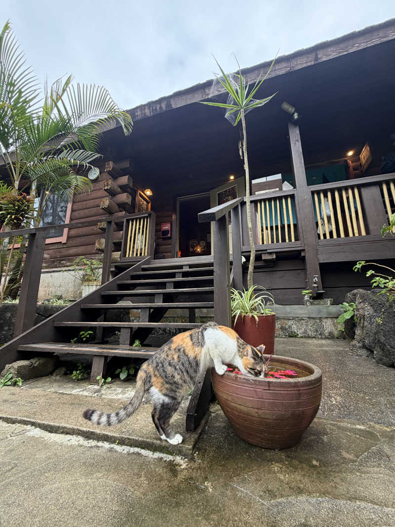 ととのいふれんちぃさんの亜熱帯サウナのサ活写真