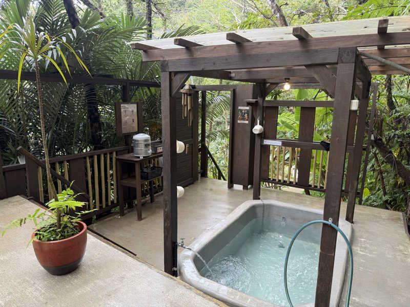 ととのいふれんちぃさんの亜熱帯サウナのサ活写真