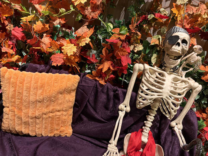 スミさんのおふろcafé ハレニワの湯のサ活写真