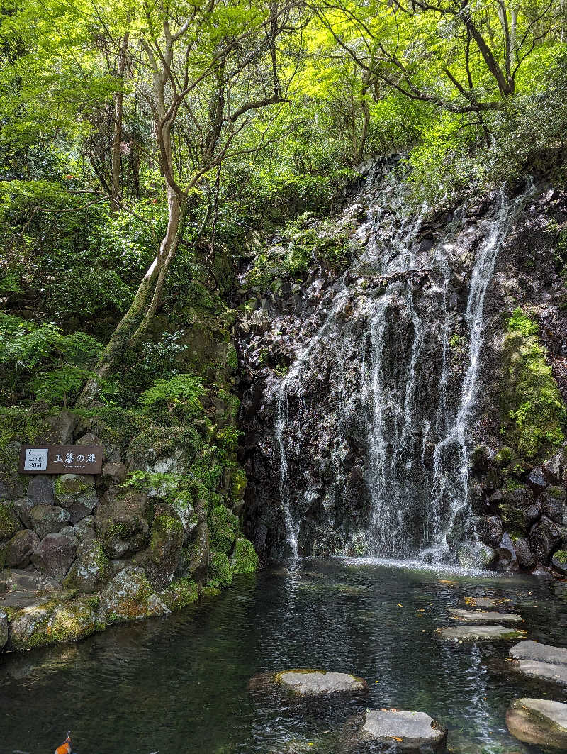 黒豆さんの箱根湯本温泉 天成園のサ活写真
