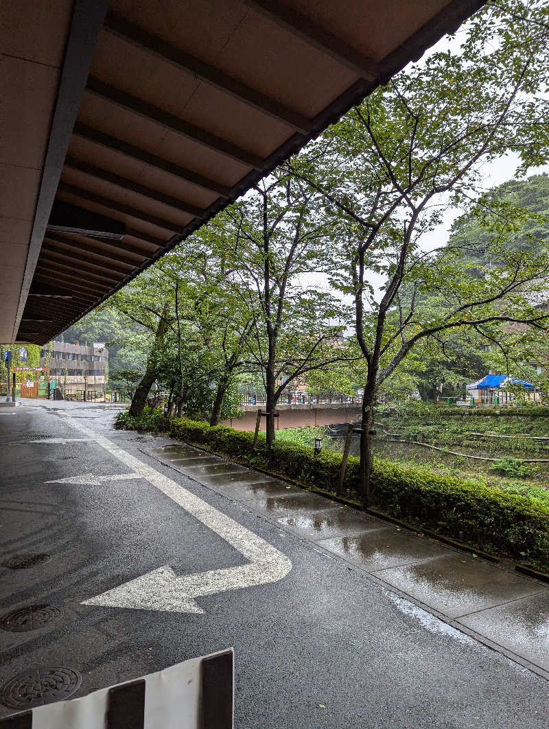 黒豆さんの箱根湯本温泉 天成園のサ活写真