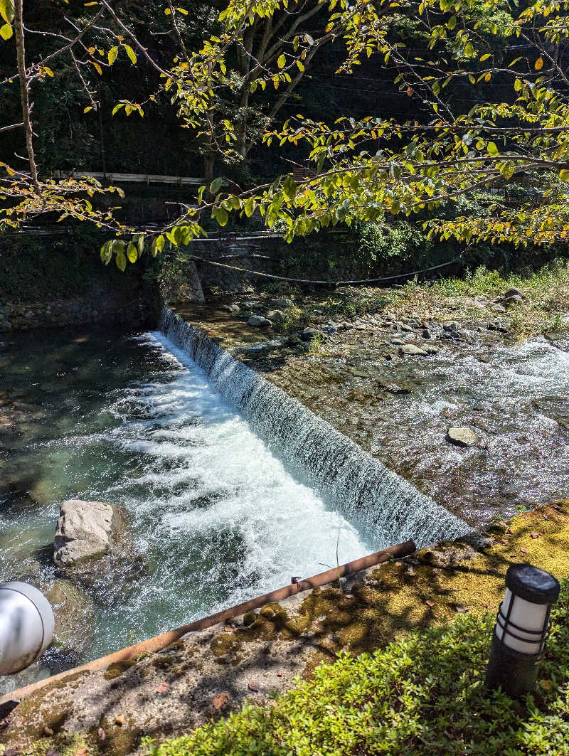 黒豆さんの箱根湯本温泉 天成園のサ活写真