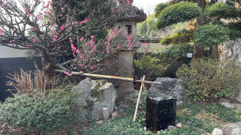 ちょくさんの見沼天然温泉 小春日和のサ活写真