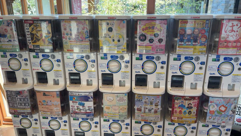 ちょくさんのアクアリゾート いるまの湯のサ活写真