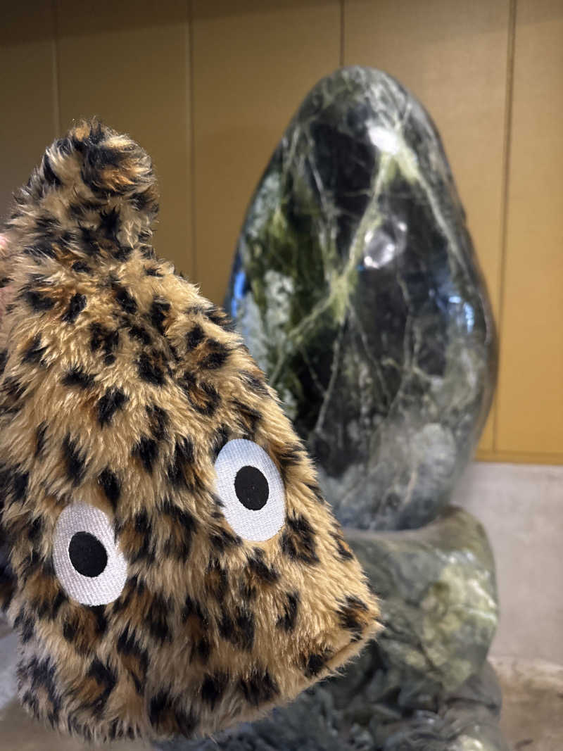 Hoshikoさんの横濱スパヒルズ 竜泉寺の湯のサ活写真