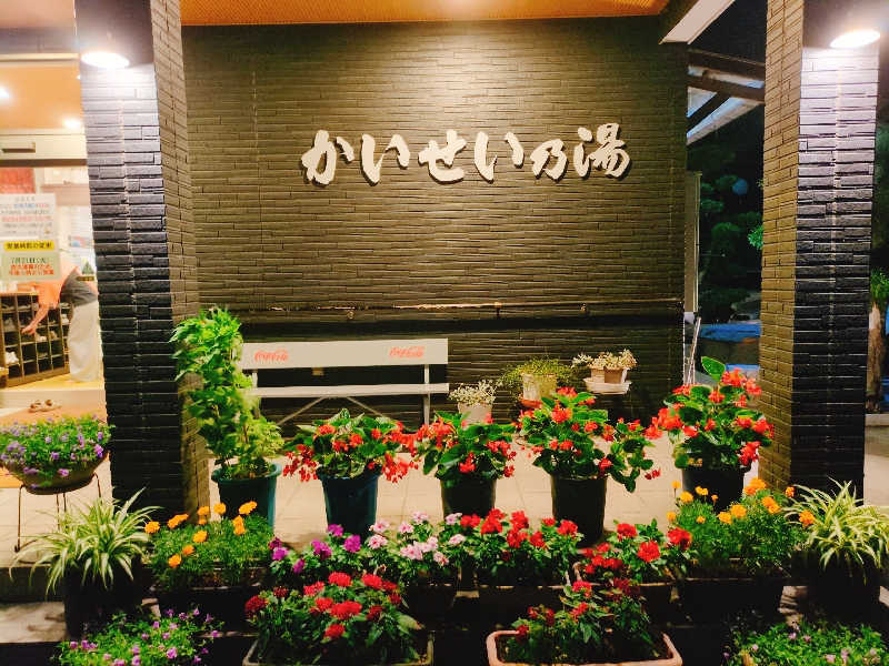 やま@サウナーさんのかいせい乃湯のサ活写真