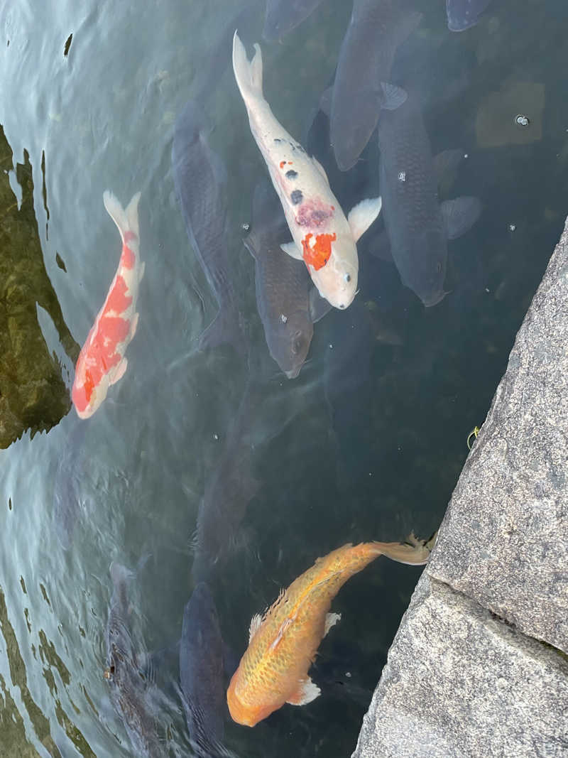 あさんの川北町役場 ふれあい健康センターのサ活写真