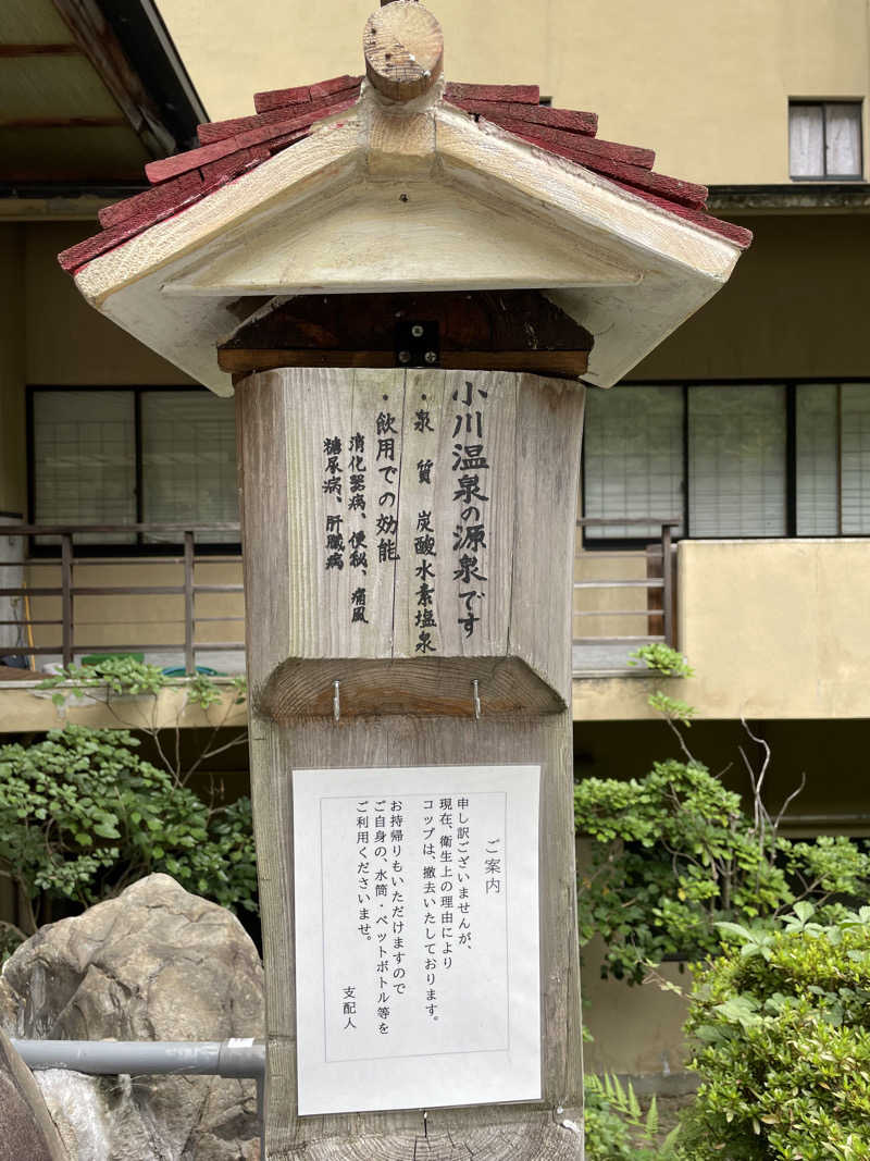 あさんの小川温泉元湯 ホテルおがわのサ活写真