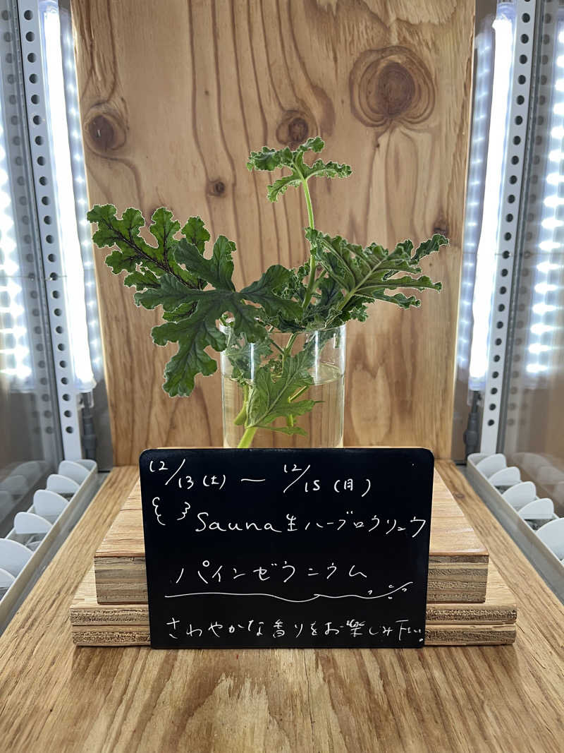 虚無虚無プリンさんの岐阜各務原 恵みの湯のサ活写真