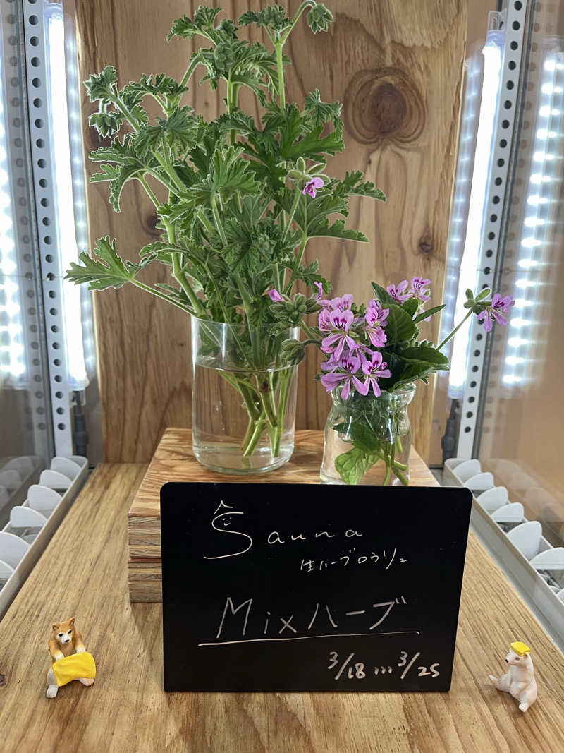 虚無虚無プリンさんの岐阜各務原 恵みの湯のサ活写真