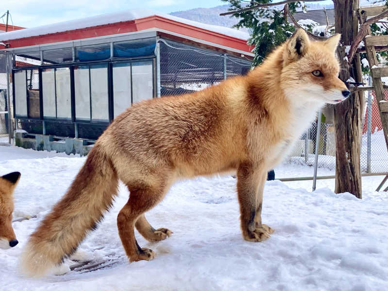 パワーサウナーKさんの訓子府町役場 温泉保養センターのサ活写真