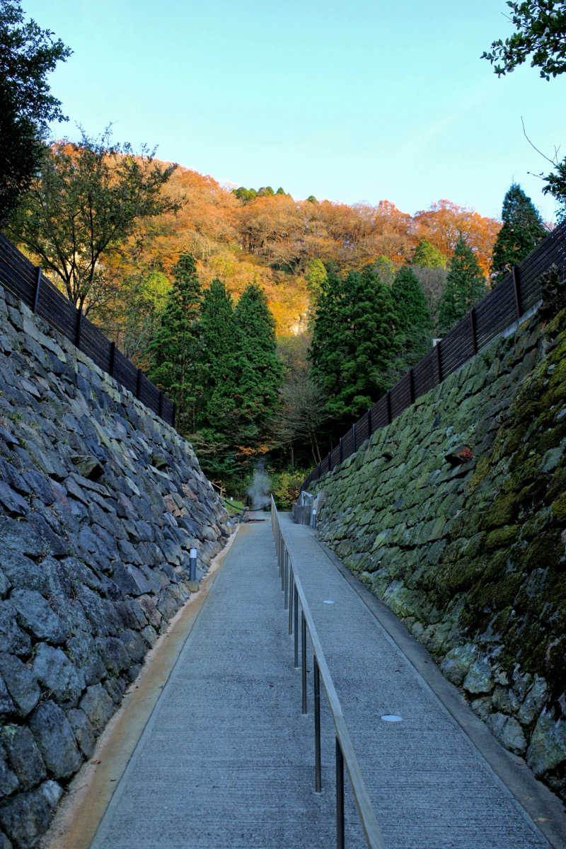 ゆ〜いちさんの垂玉温泉 瀧日和のサ活写真