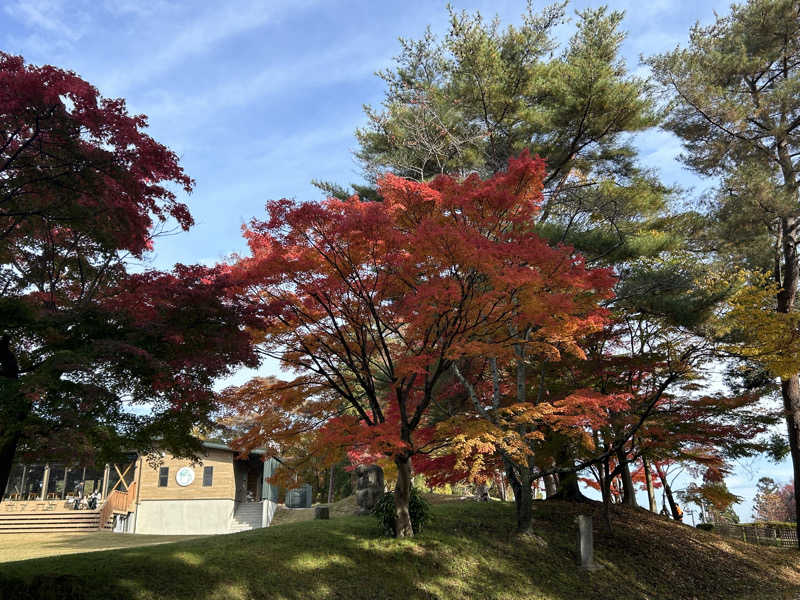 サウナーキングダムさんのSauna & Spa Green サウナ&スパ グリーン～愛宕山温泉～のサ活写真