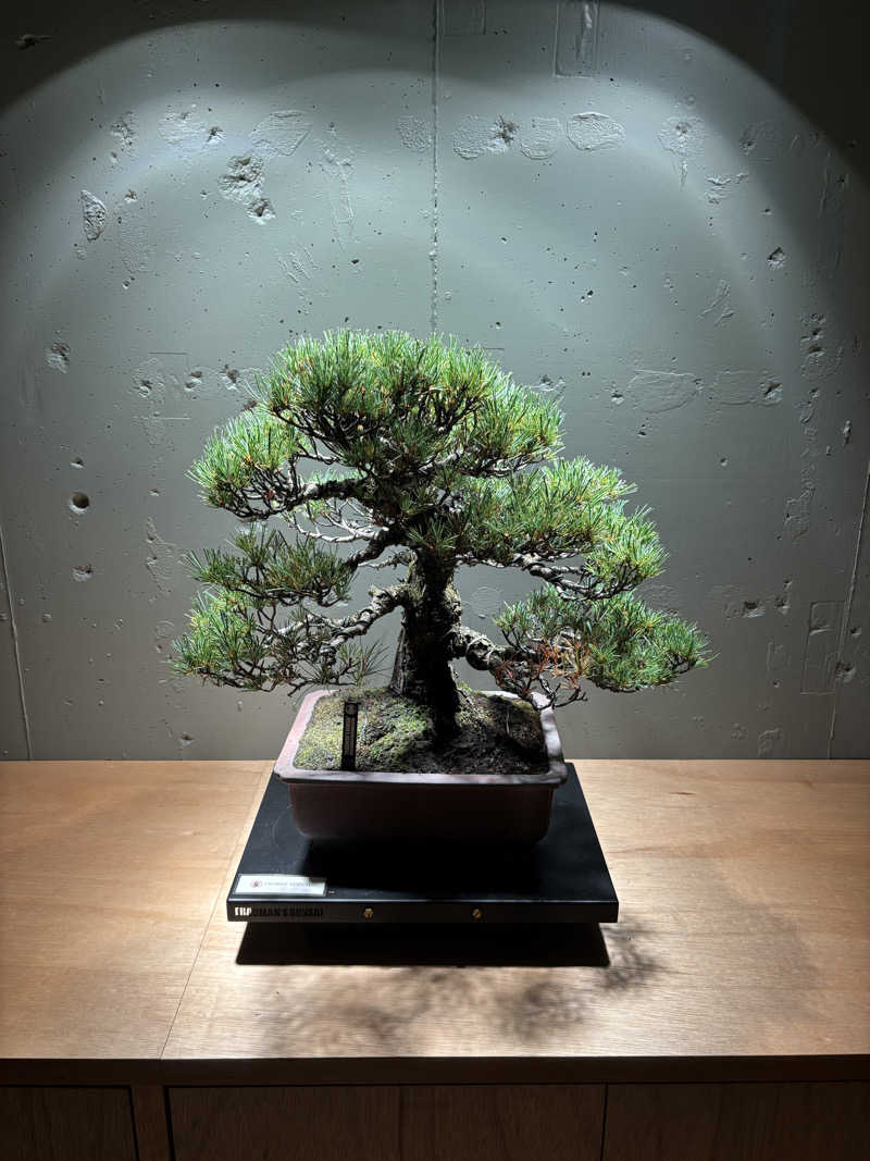 Saaさんのneverendingのサ活写真