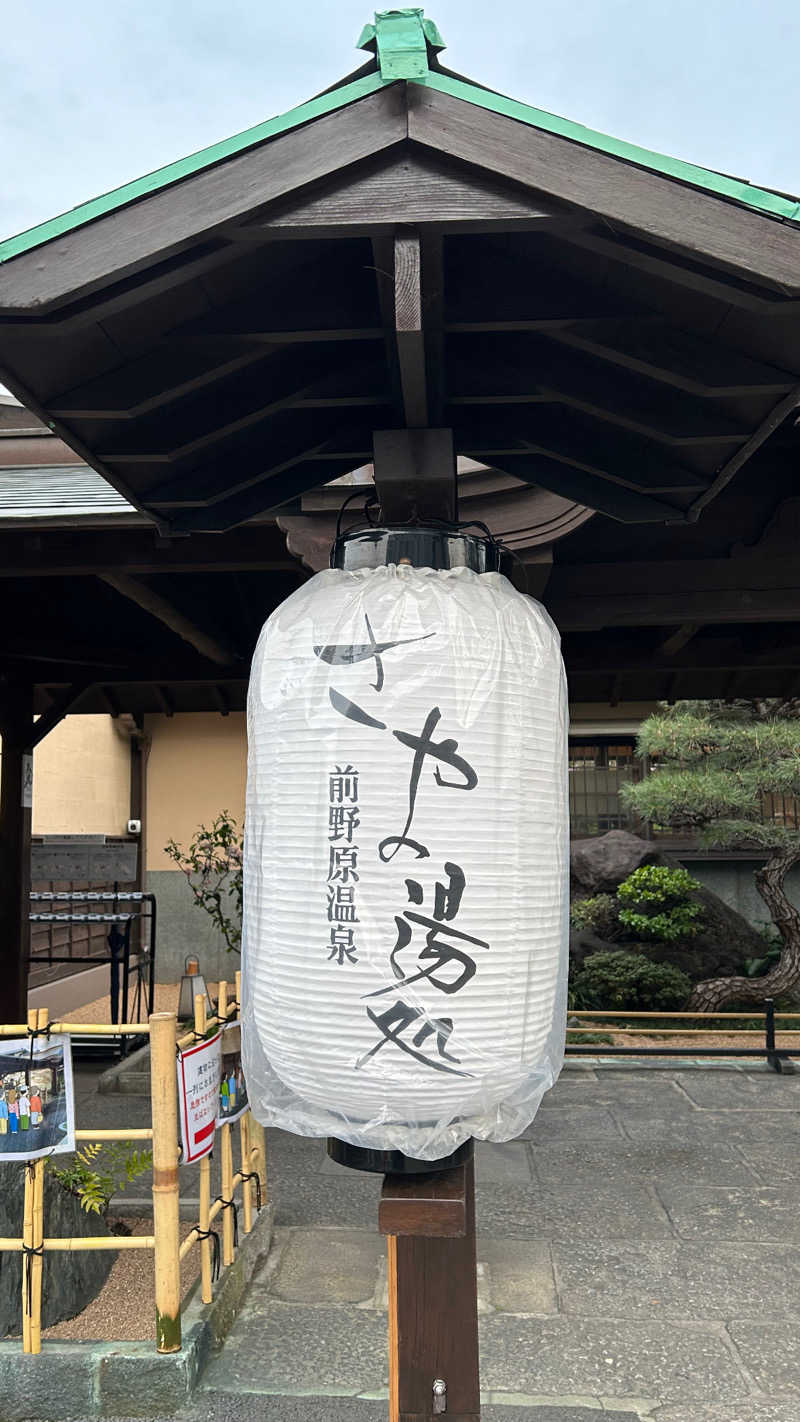 北欧のちゃんまなだよ〜さんの前野原温泉 さやの湯処のサ活写真