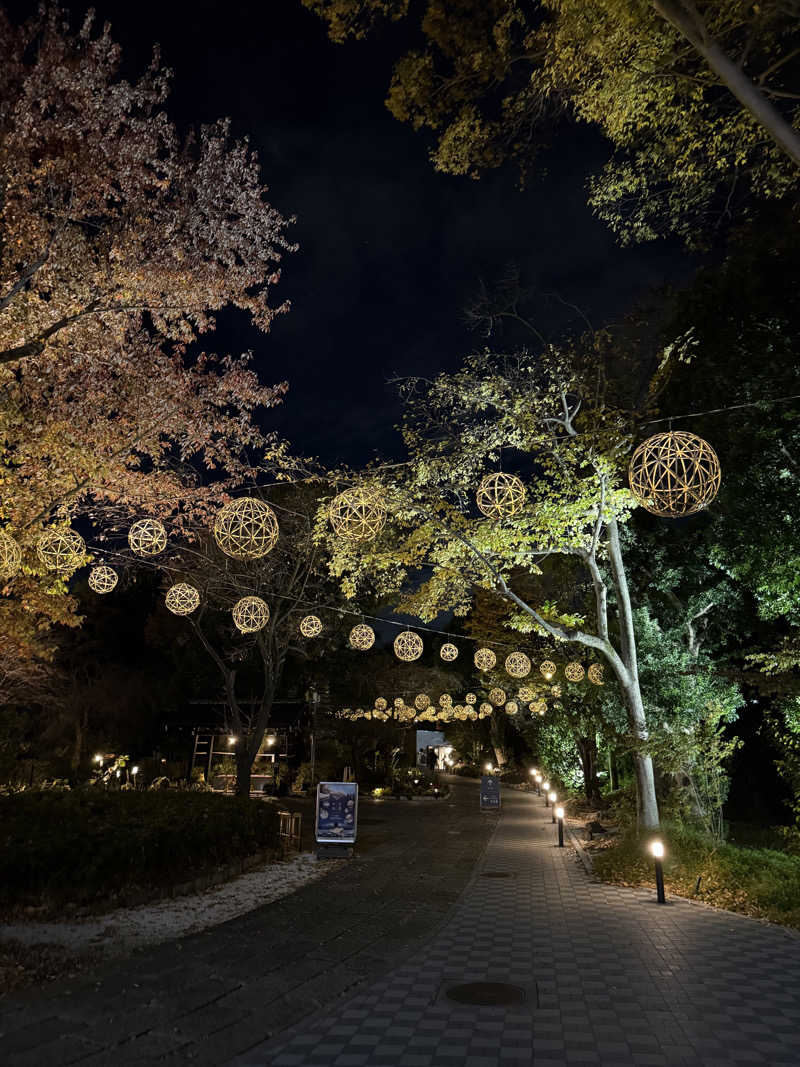 めむもさんのよみうりランド眺望温泉 花景の湯のサ活写真