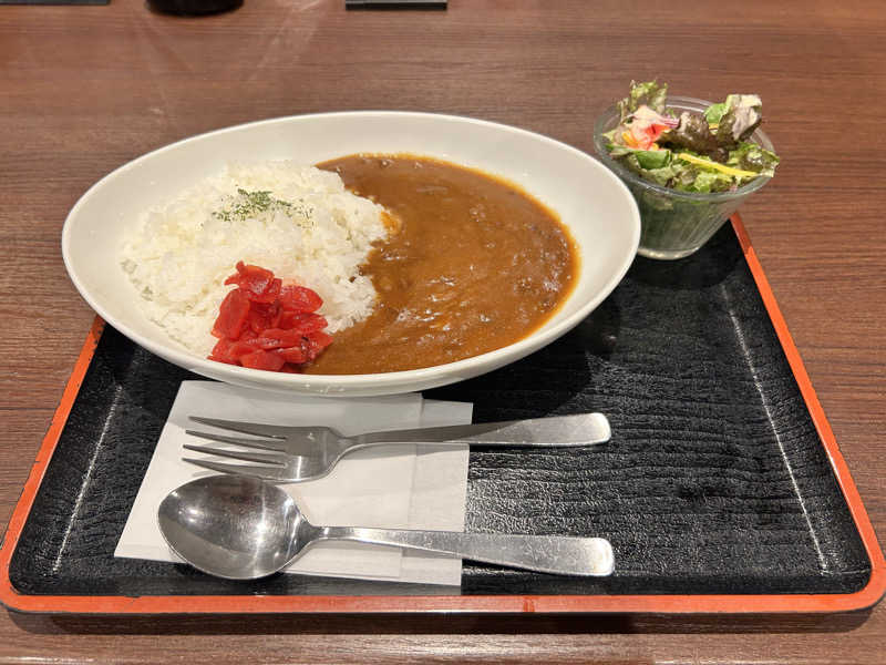 00さんの成田空港温泉 空の湯のサ活写真