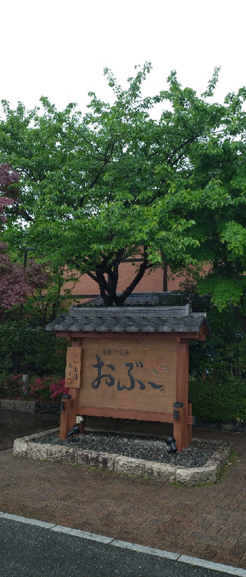 もねぞうさんの林檎の湯屋 おぶ～のサ活写真