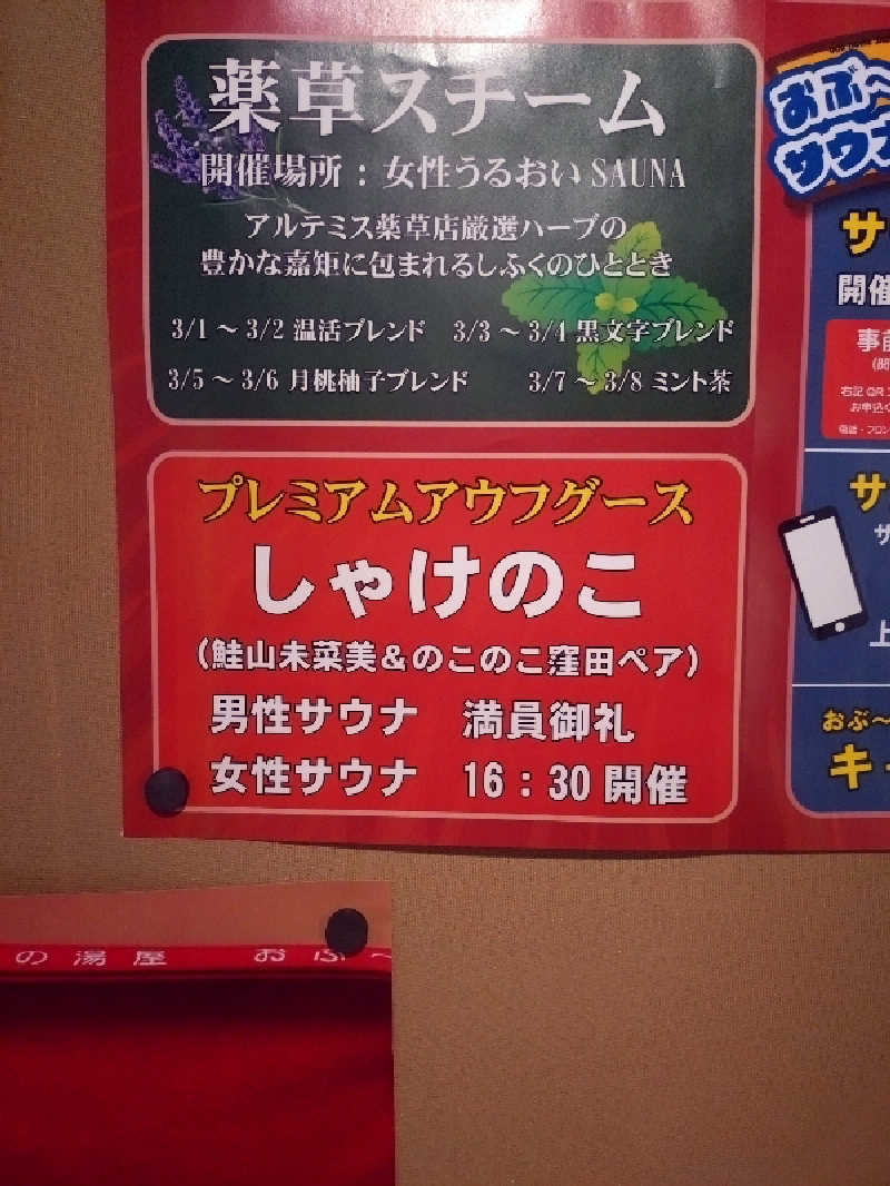 もねぞうさんの林檎の湯屋 おぶ～のサ活写真