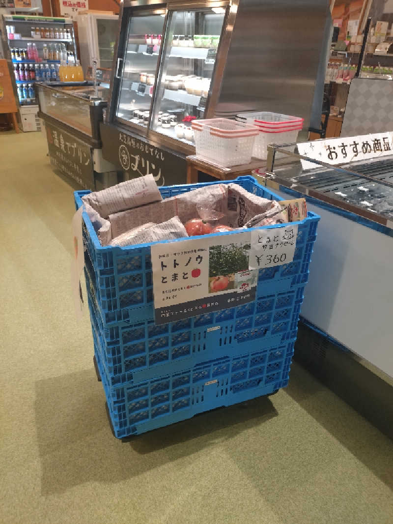 もねぞうさんのふれあい交流センター大芝の湯のサ活写真