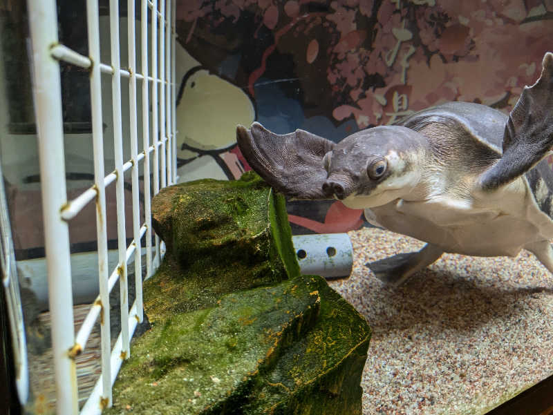 ねこさんの松本湯のサ活写真