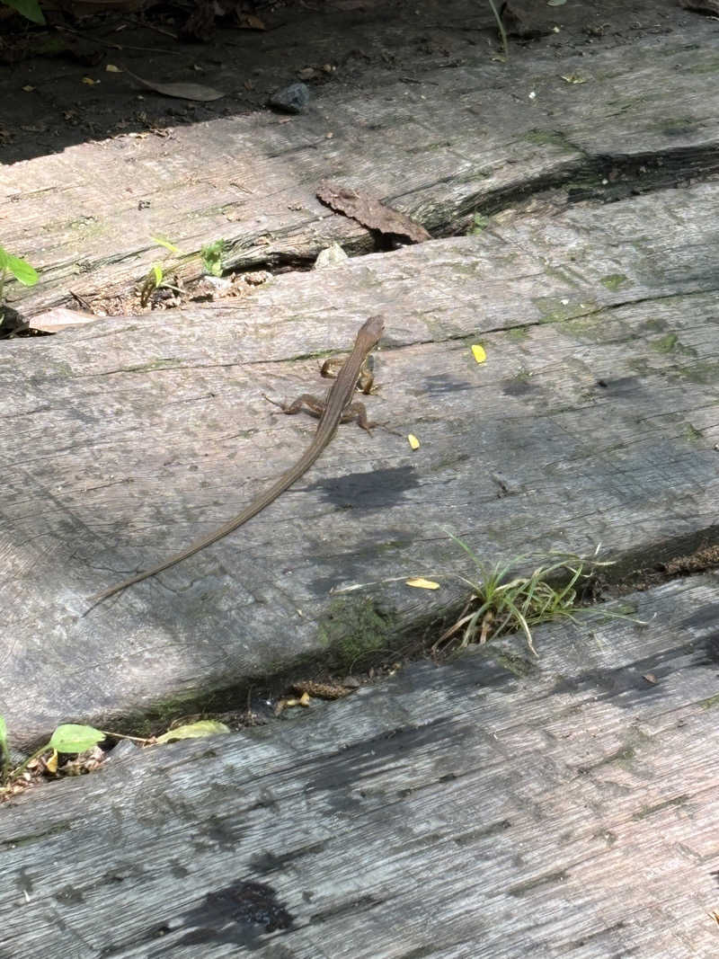 じろーさんの宇部サウナセンターのサ活写真