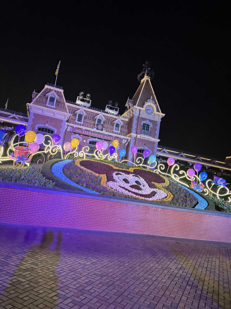 水風呂坊やさんの香港ディズニーランド・ホテルのサ活写真