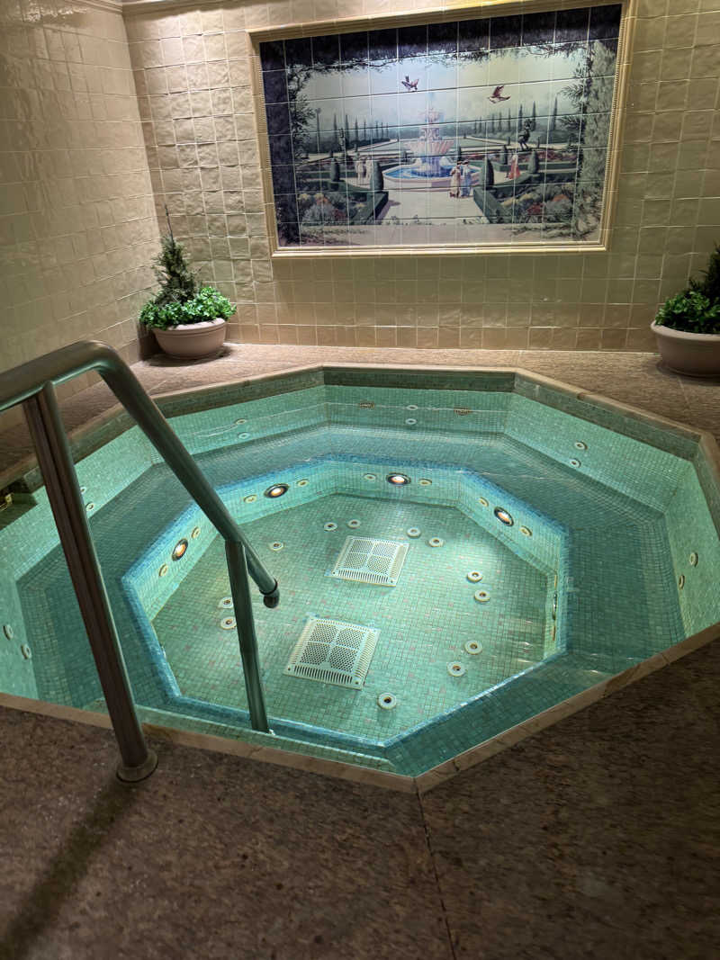 水風呂坊やさんの香港ディズニーランド・ホテルのサ活写真