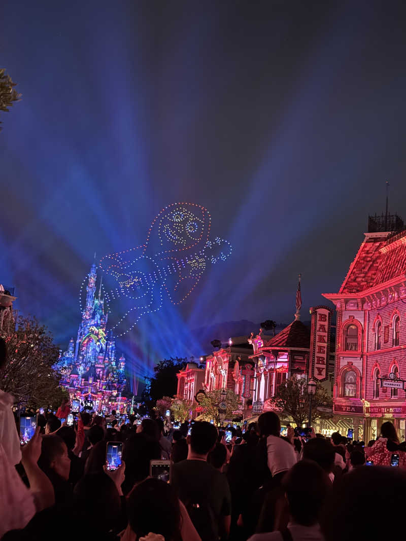 水風呂坊やさんの香港ディズニーランド・ホテルのサ活写真