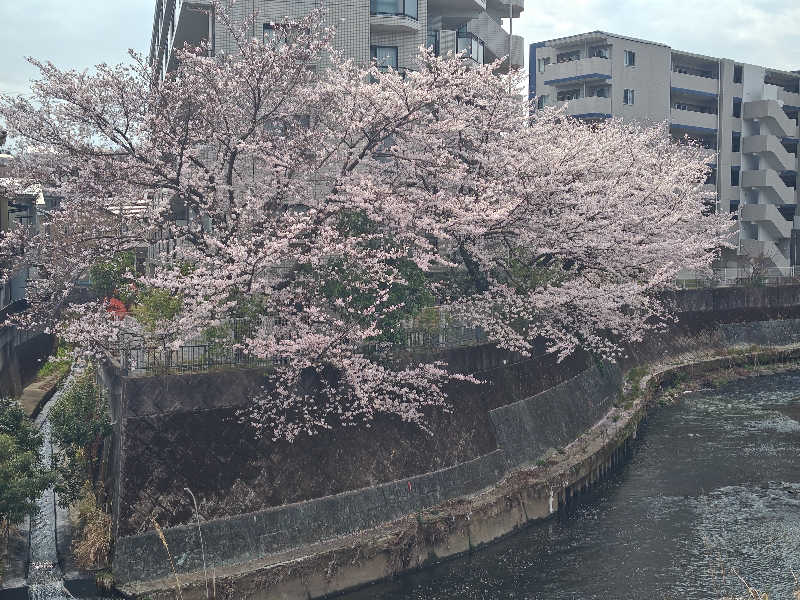 ゆーじさんの天然温泉 満天の湯のサ活写真
