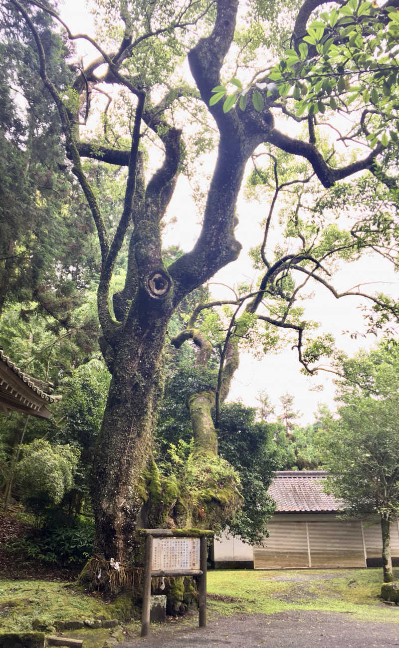 sirojisifangさんの畑冷泉館のサ活写真