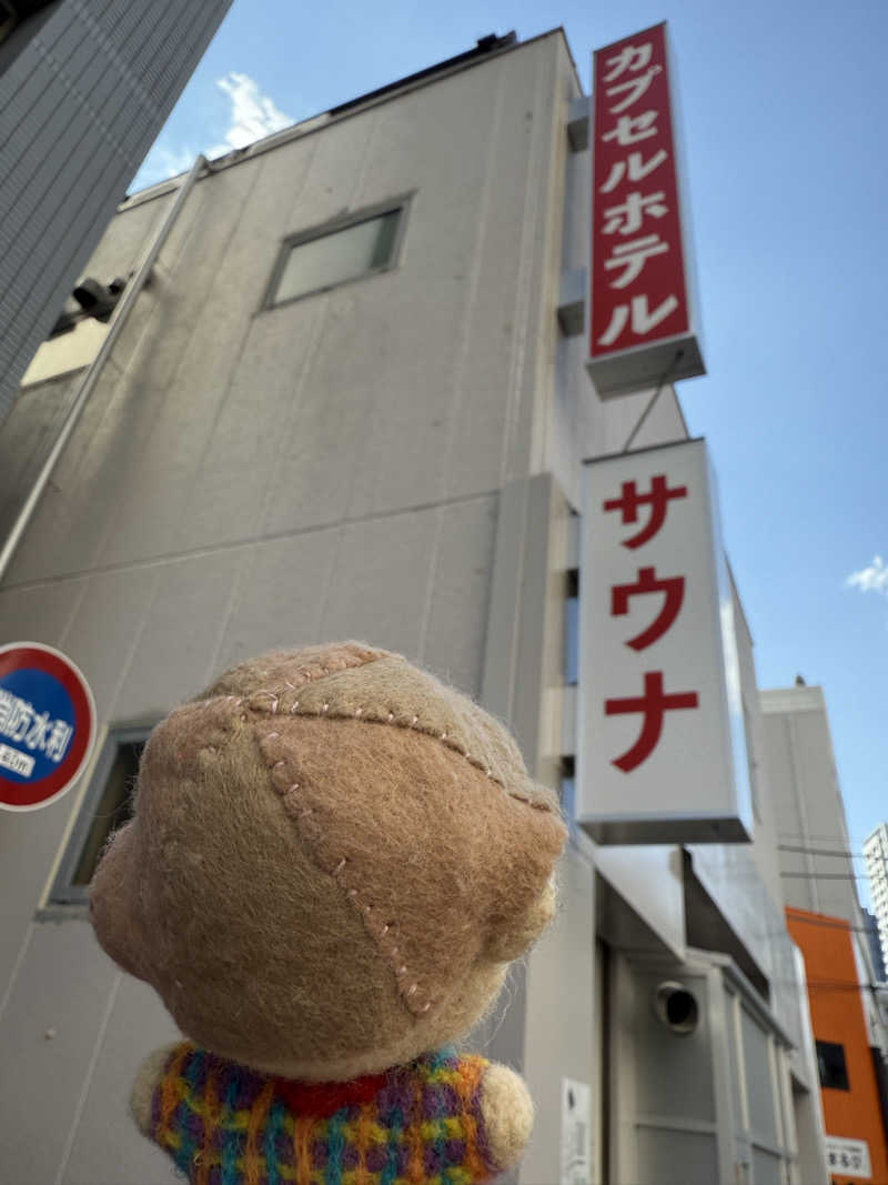 わいるどさんの泊まれるサウナ屋さん 品川サウナのサ活写真