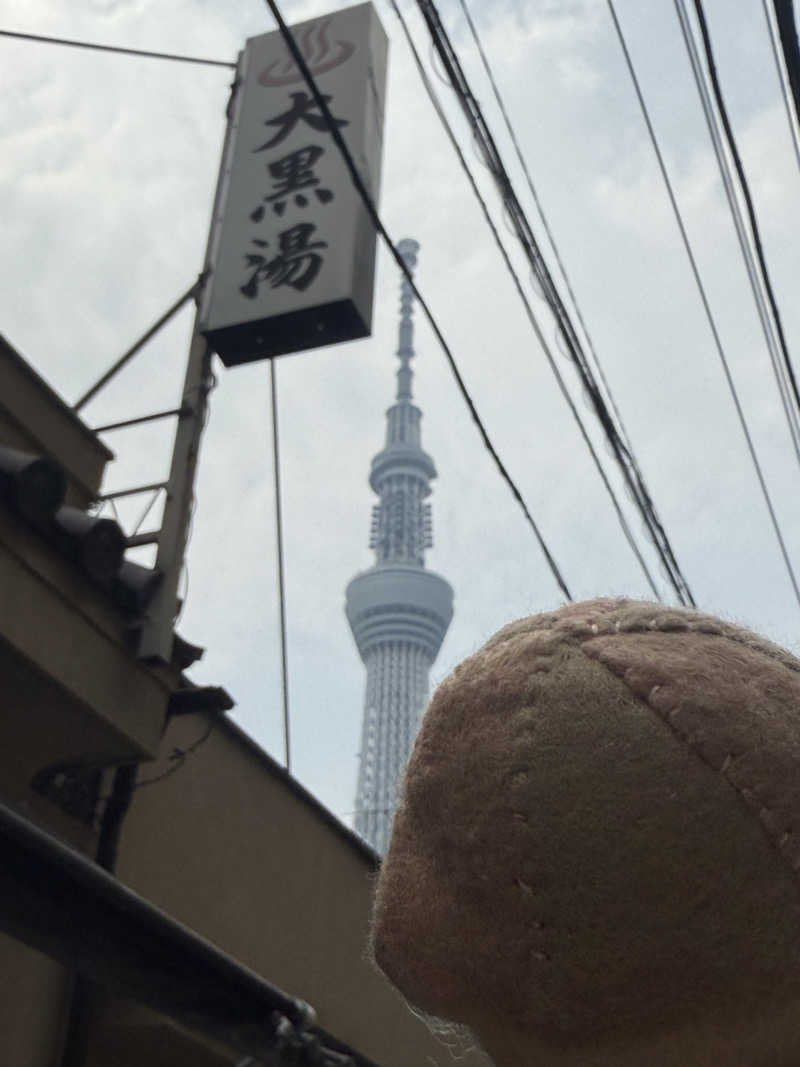 わいるどさんの押上温泉 大黒湯のサ活写真