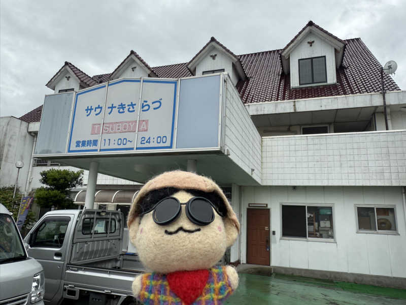 わいるどさんのサウナきさらづ つぼやのサ活写真