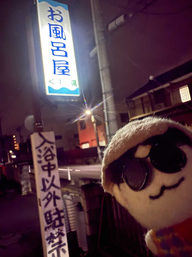 わいるどさんの登龍湯のサ活写真