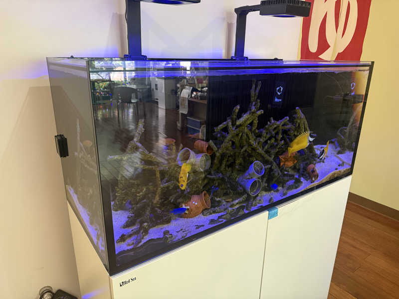 わいるどさんのゆ～ポッポのサ活写真