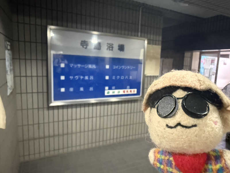 わいるどさんの寺島浴場のサ活写真